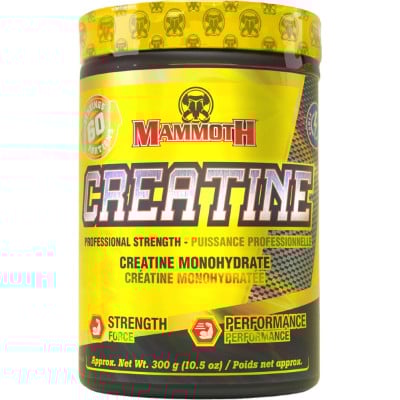 کراتین مونوهیدرات ماموت CREATINE MAMMOTH