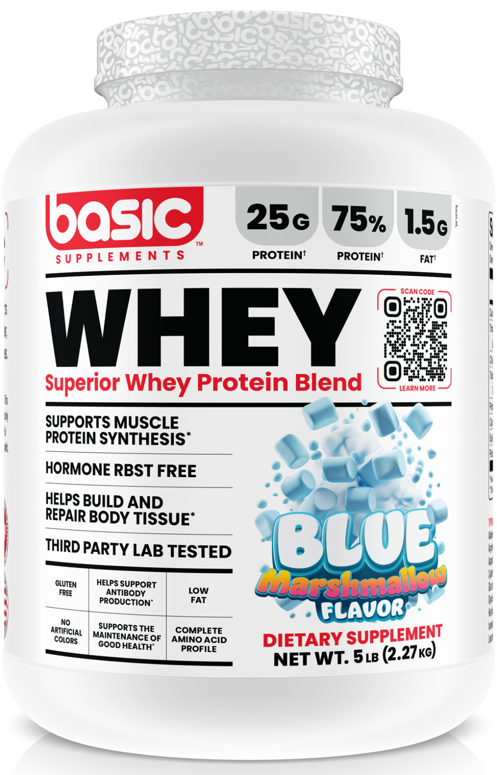 پروتئین وی بیسیک WHEY PROTEIN BASIC